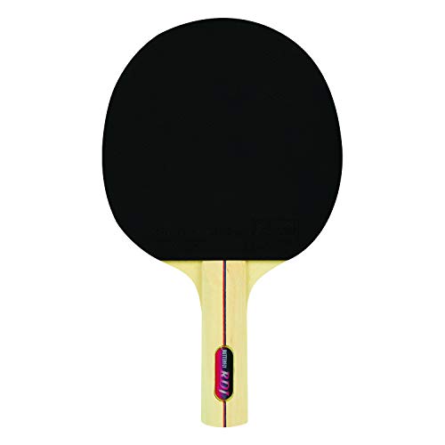 Butterfly RDJ Shakehand Table Tennis Racket Set - RDJ Series - Recommended For Beginning Level Ping Pong Players - International Table Tennis Federation Approved - color: RDJ 4 Player Set