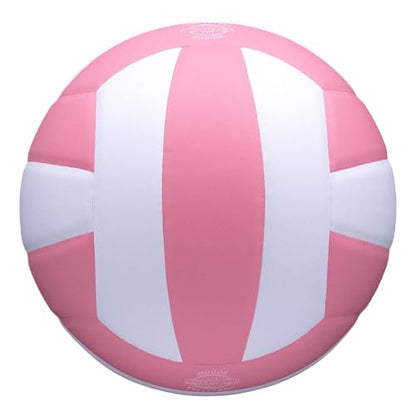 Baden | Precision | Official Size + Weight Entry Level Youth Indoor Volleyball | PU Composite, Extra Foam Backing, Reduce Sting - color: Pink
