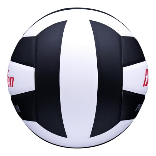 Baden | Precision | Official Size + Weight Entry Level Youth Indoor Volleyball | PU Composite, Extra Foam Backing, Reduce Sting - color: Black
