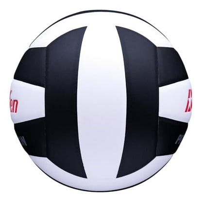 Baden | Precision | Official Size + Weight Entry Level Youth Indoor Volleyball | PU Composite, Extra Foam Backing, Reduce Sting - color: Black