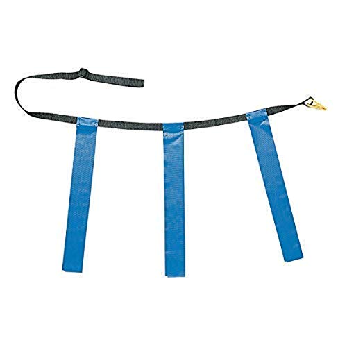 Champion Sports Quick Release Flag Football Set – Durable Belt, 3 Detachable Flags & Adjustable Fit (25”-50”) - color: Blue Flags, size: X-Large (40"-50")
