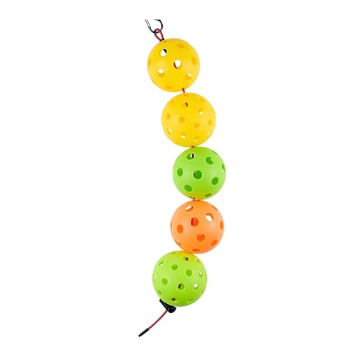 Pickleball Ball String Cable Chord, Accessories for Pickleball Storage, Suitable for Garage Wall or Bags, 5 Official Balls fit on one Cable, Set of 2