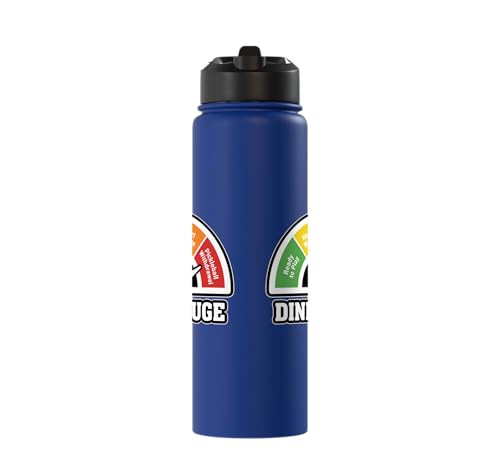 Stainless Steel Insulated Water Bottle - color: Royal Blue