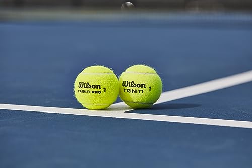 WILSON Triniti Pro Tennis Balls - 3 Balls, Yellow