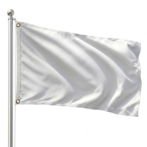 DMSE Solid Royal Blue Flag, 2x3 Flag, UV Resistant, Fade Resistant Material with Metal Grommets (2ft x 3ft), (Polyester), (Royal Blue) - color: Royal Blue, size: Polyester (2 x 3 ft)