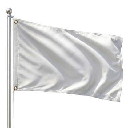 DMSE Solid Royal Blue Flag, 2x3 Flag, UV Resistant, Fade Resistant Material with Metal Grommets (2ft x 3ft), (Polyester), (Royal Blue) - color: Royal Blue, size: Polyester (2 x 3 ft)