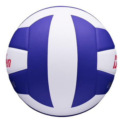 Baden | Precision | Official Size + Weight Entry Level Youth Indoor Volleyball | PU Composite, Extra Foam Backing, Reduce Sting - color: Royal Blue