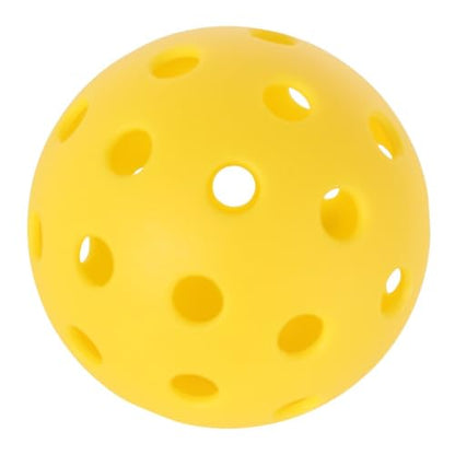 Selkirk Sport Hybrid + Ball 4 Pack