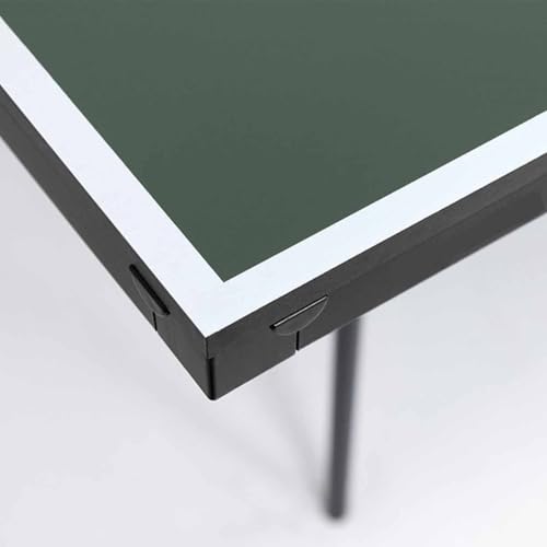Butterfly Personal Ping Pong Table | Game Table for Kids | Butterfly Table Tennis Table Indoor | Folding Ping Pong Table | 3 Year Warranty | Holder for Ping Pong Paddles and Ping Pong Balls | Free Net