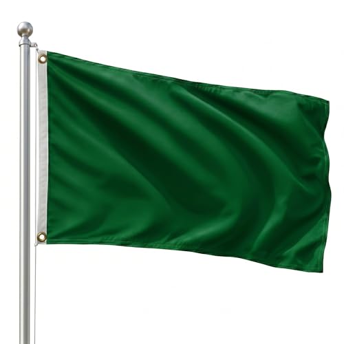 DMSE Solid Green Flag, 2x3 Flag, UV Resistant, Fade Resistant Material with Metal Grommets (2ft x 3ft), (Polyester), (Green) - color: Green, size: Polyester (2 x 3 ft)