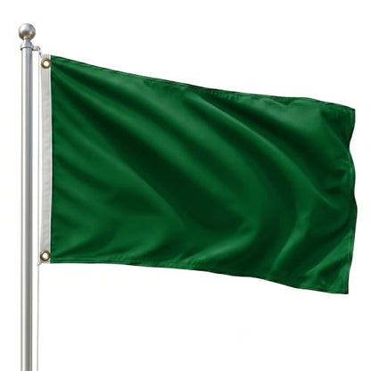 DMSE Solid Green Flag, 3x5 Flag, UV Resistant, Fade Resistant Material with Metal Grommets (3ft x 5ft), (Nylon), (Green) - color: Green, size: Nylon (3 x 5 ft)