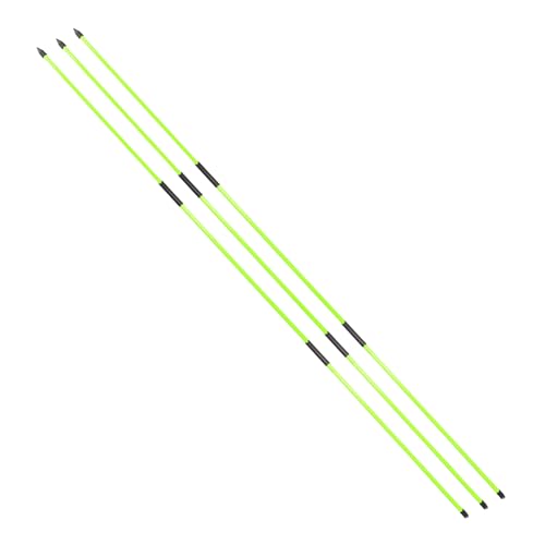 Golf Alignment Stick - Golf Sticks Alignment Aid 48" Golf Alignment Rods 2 Pack for Aiming, Putting, Full Swing Trainer, Posture Corrector Golf Training aid with Clear Tube Case