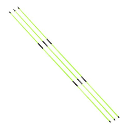 Golf Alignment Stick - Golf Sticks Alignment Aid 48" Golf Alignment Rods 2 Pack for Aiming, Putting, Full Swing Trainer, Posture Corrector Golf Training aid with Clear Tube Case