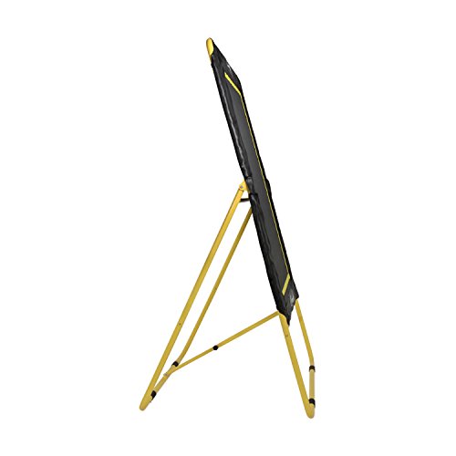 Champion Sports Deluxe Lacrosse Target: Ball Return Bounce Back Net Set for Professional, College and Grade School Training & Drills - style: Deluxe XL Rebounder (4' x 6')