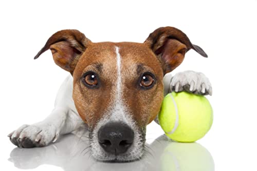 VIV Advanced Tennis Balls Bulk, 30/50/100+ Pack Practice Balls Pressure Bouncing 53in High Durable, Official Size Pet Dog Playing Ball, Good for Tennis Training Machine & Kids Play on All Courts