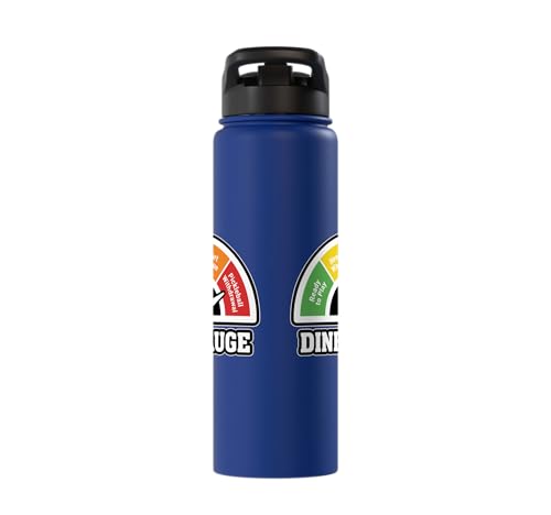Stainless Steel Insulated Water Bottle - color: Royal Blue