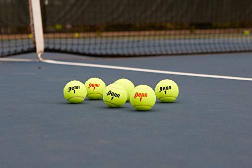 Penn Championship Tennis Balls - Extra Duty - style: 24 Cans, 72 Balls