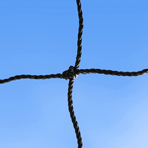 Baseball Backstop Nets | Professional Grade Sports Netting Available in 82 Sizes - 100% Weatherproof with Overlocked Edges - size: 10' x 50'