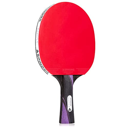 Performance Ping Pong Paddles, Advanced-Expert Table Tennis Paddles For Each Skill Level With Professional Rubbers & Carbon Layered Blades, 2025 Upgrade With Protective Case to Boost Your Game