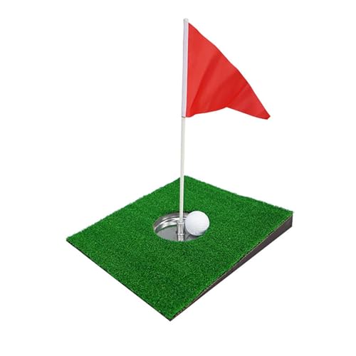 Shinsto Golf Synthetic Green Putting Mat - Portable Mini Disc, Slope Trainer with Precision Hole Cup (Indoor/Outdoor)