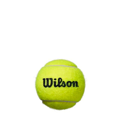 Wilson Roland Garros Clay Tennis Ball - 3 Ball Can - size: 1-Can (Pack of 6)
