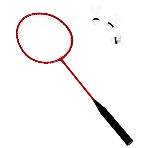 Amazon Basics Portable Outdoor Volleyball and Badminton Combo Set with Sturdy Poles and Storage Bag