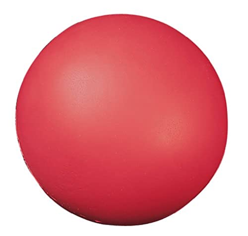 Champion Sports Coated High Density Foam Balls, 4", Model: HD4 - color: Red (Coated), size: 7 Inch (Single Ball)