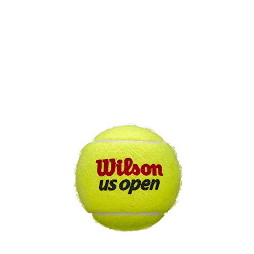 WILSON US Open Tennis Balls - Regular Duty, 24 Can Case (72 Balls)