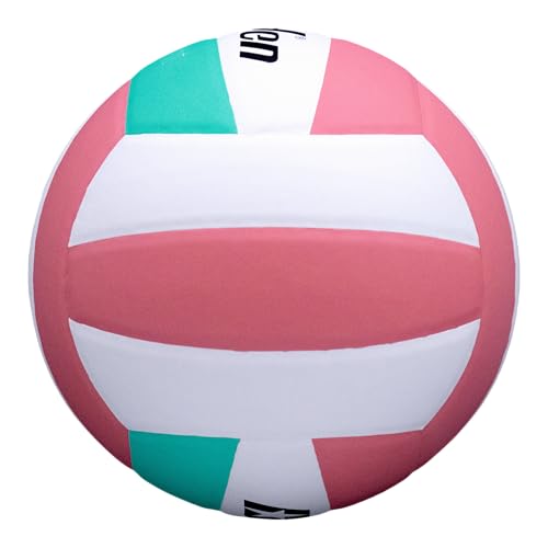 Baden | 10U Light | Official Size, 2 oz Lighter Entry Level Youth Indoor Volleyball | PU Composite, Extra Foam Backing, Reduce Sting - color: Pink/Teal