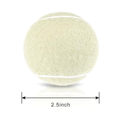Tennis Balls 6 Pcs Training Tennis Balls Come with Mesh Bag for Easy Transport Beginner High Elasticity Practice Loose Tennis Ball for Dogs Natural Rubber Material