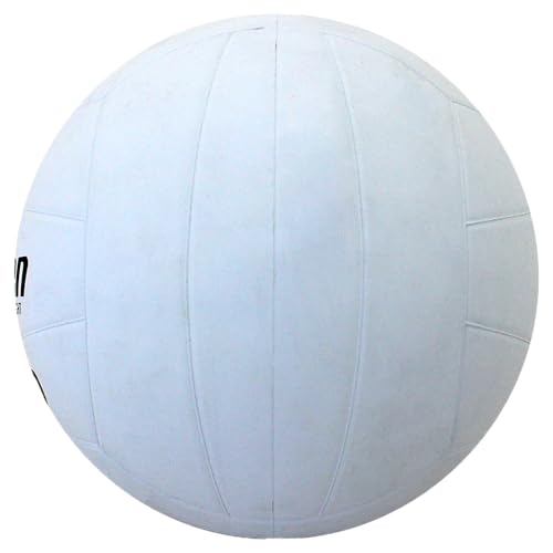 Baden V200 Rubber Volleyball | Durable All Purpose Volleyball | Perfect for Indoor and Outdoor Play | Suitable for All Ages | Official Size 5, Classic White Design - size: Official