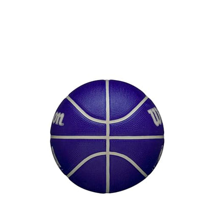 WILSON NBA DRV Outdoor Mini Basketball - Indigo/Beige, Size 3-22" - color: Indigo/Beige, size: Size 3 - 22", style: DRV