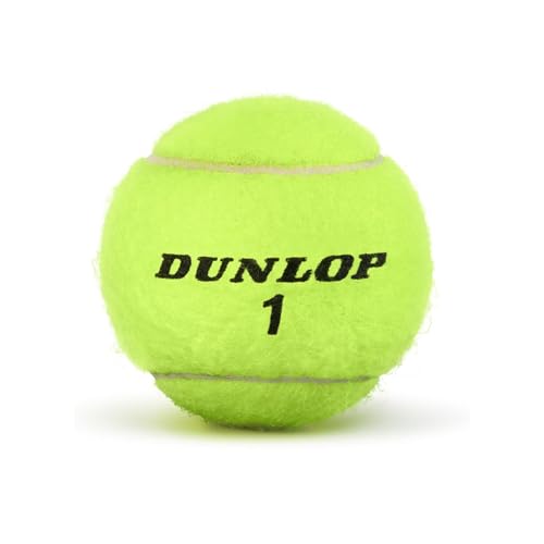Dunlop ATP Championship Tennis Balls