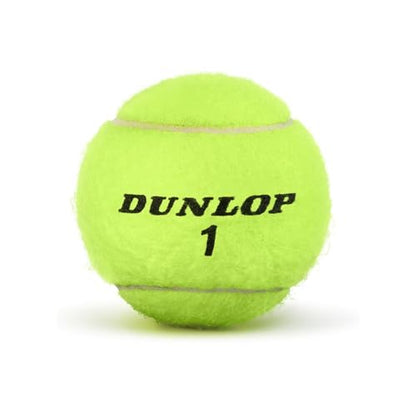 Dunlop ATP Championship Tennis Balls