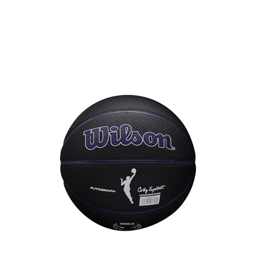 WILSON WNBA Team Autograph Series Mini Basketball