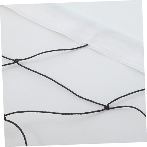 ibasenice Professional Outdoor Volleyball Net Portable Beach Volleyball Net for Play Standard Competition