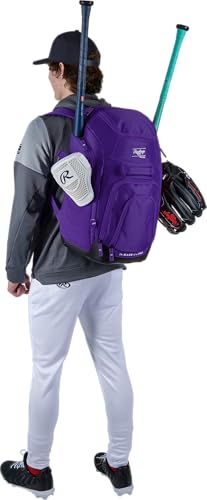Rawlings | FRANCHISE 2.0 Player's Backpack | Baseball/Softball | Rec/Travel | Multiple Styles | Baseball/Softball - color: PURPLE