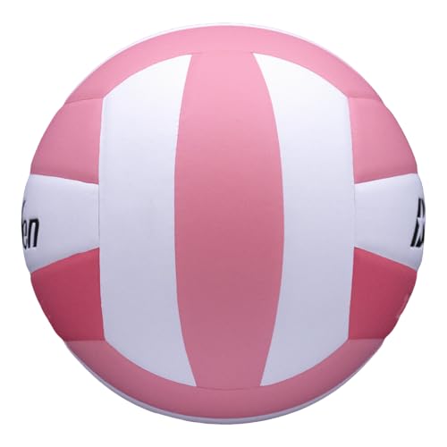 Baden | 10U Light | Official Size, 2 oz Lighter Entry Level Youth Indoor Volleyball | PU Composite, Extra Foam Backing, Reduce Sting - color: Soft Pink/Dark Pink