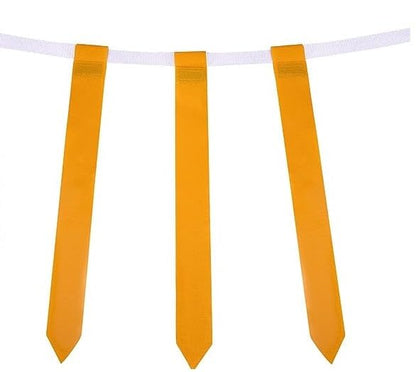 Biggz Flag Football belts/flags