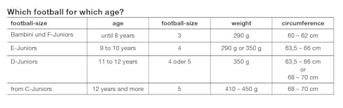 uhlsport Player Football