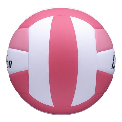 Baden | 10U Light | Official Size, 2 oz Lighter Entry Level Youth Indoor Volleyball | PU Composite, Extra Foam Backing, Reduce Sting - color: Soft Pink/Dark Pink