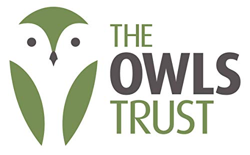 VISUALIZE Elite Switchblade Golf Divot Repair Tool Set with Ball Marker - Sturdy Anodized Aluminum - Perfect Golf Accessory Gift - color: Red