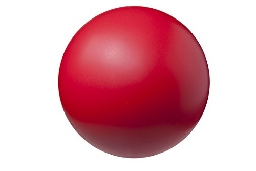 Champion Sports Coated High Density Foam Balls, 4", Model: HD4 - color: Red (Coated), size: 6 Inch (Single Ball)