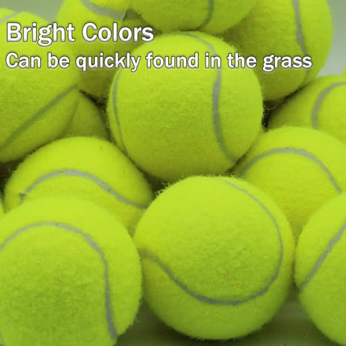 SHYUJAJIE Tennis Balls, 20 Pack Training Tennis Balls,High Elasticity Practice Tennis for Beginner, Exercise Playing Balls for Pet Dog - color: Yellow