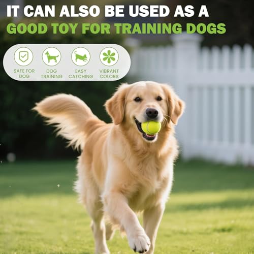 FURWEY Tennis Balls, 12/24/36/80 Pack Bulk Tennis Balls Pressureless Tennis Ball, Come with Mesh Bag for Easy Transport,Pet Dog Playing Balls, Good for Beginner Training Ball - size: 12P