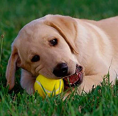 URBEST Tennis Ball 12 Packs Training Tennis Balls Practice Balls for Novice Player, Pet Dog Playing Balls with Mesh Carry Bag - color: Green