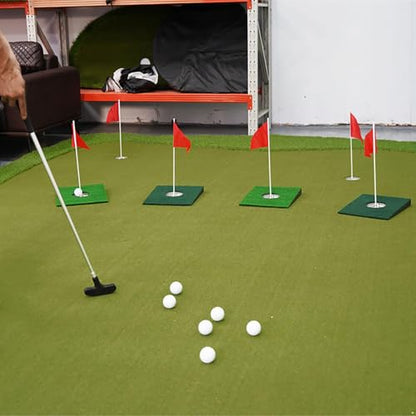 Shinsto Golf Synthetic Green Putting Mat - Portable Mini Disc, Slope Trainer with Precision Hole Cup (Indoor/Outdoor)