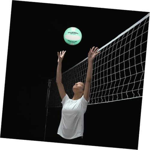 PRETYZOOM 2pcs Adult Soft Volleyball Size 5 Indoor Training Sports Ball for Entrance Examination, Machine-Stitched Explosion-Proof Volleyball for Recreational and Competitive Play