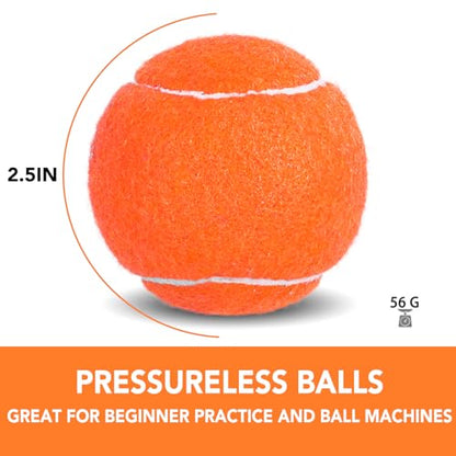 INSUM Bulk Tennis Balls for Beginner – 12 Pack High Elasticity Practice Tennis Balls with Mesh Bag, Suit for Pet Dog Training, Fetching - color: Orange-N
