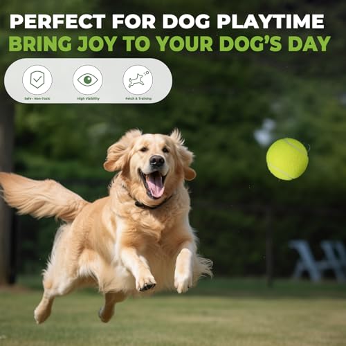 INSUM Bulk Tennis Balls for Beginner – 20/30/60/120 Pack High Elasticity Practice Tennis Balls with Mesh Bags, Portable for Pet Dog Outdoor Playing, Training, Fetching